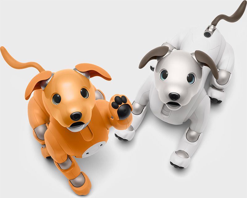 robot aibo robot aibo